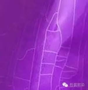 QQ截圖20170323150026.jpg